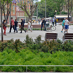 ÀREA D'ECOLOGIA URBANA