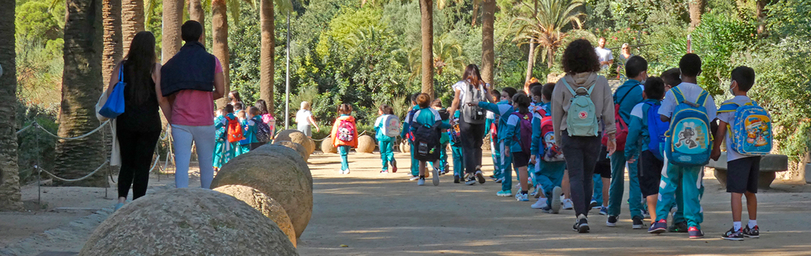 Educational programme